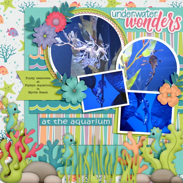 Underwater Wonders