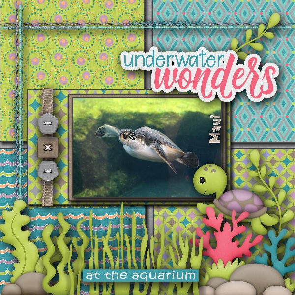 Underwater_Wonders