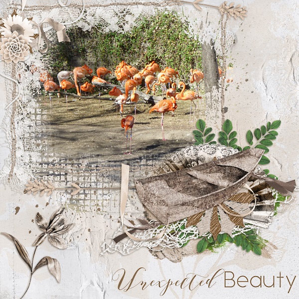 Unexpected beauty