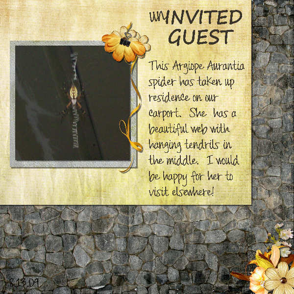 Uninvited Guest