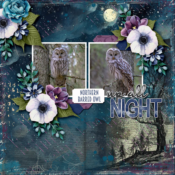 Up All Night