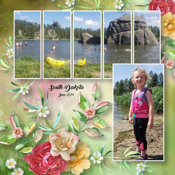 Up Up South Dakota