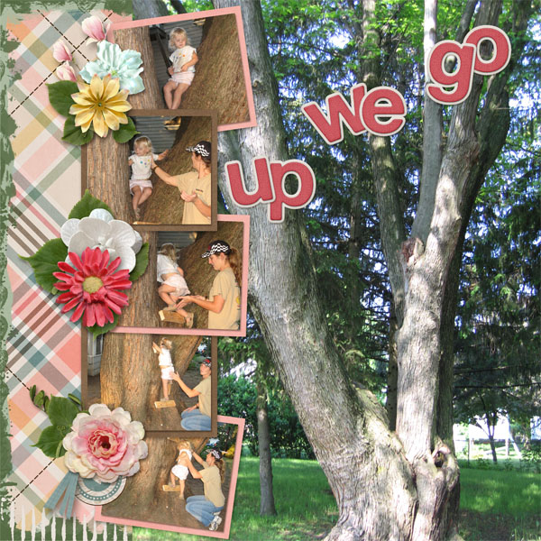 Up We Go