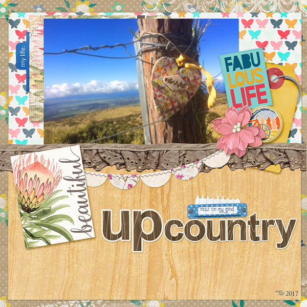 Upcountry Maui