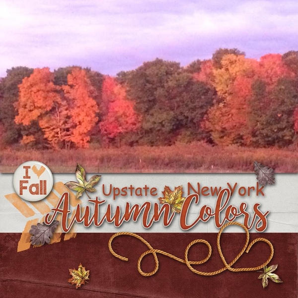Upstate_NY