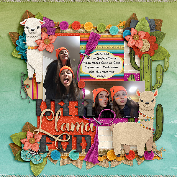 UR A Llama FUN