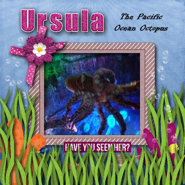 Ursula