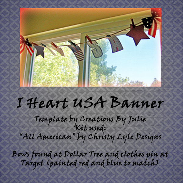 USA Banner