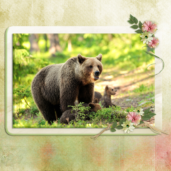 Use-it-All Challenge, March 2021, with Karen Schulz