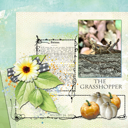 Use It All Challenge Oct22