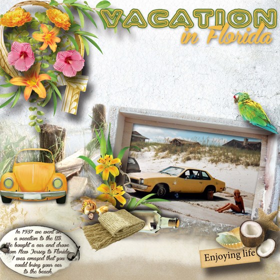 Vacation_in_Florida