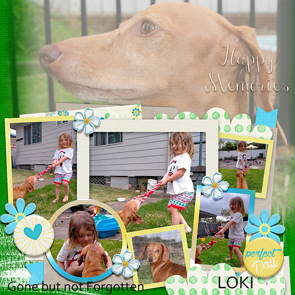 Vail Loki