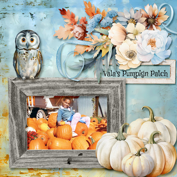 Valas Pumpkin Patch