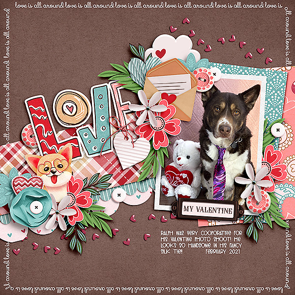 Valentine Dog