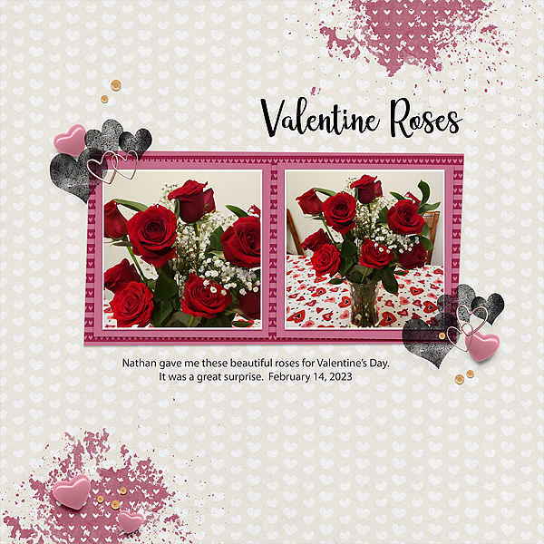 Valentine Roses