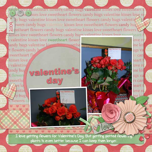 valentine's day 2009
