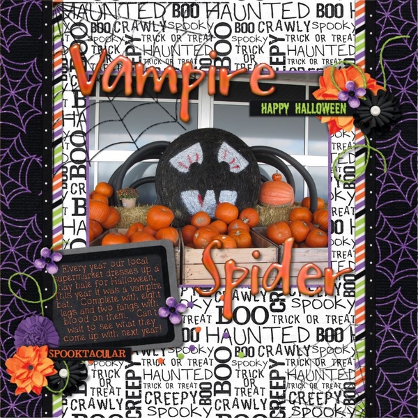 Vampire Spider