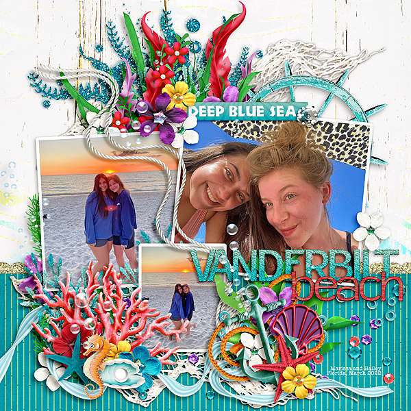 Vanderbilt Beach
