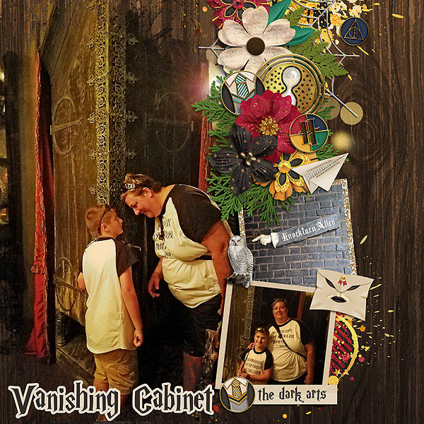 Vanishing Cabinet