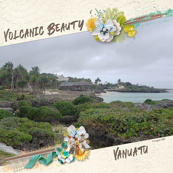 Vanuatu Shoreline
