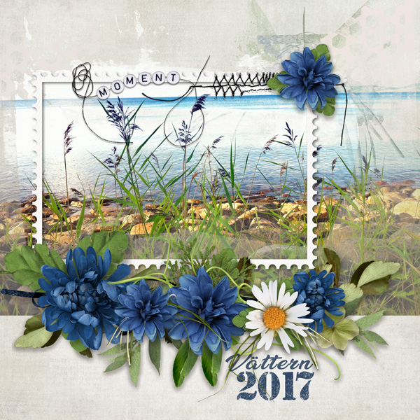 Vattern2017