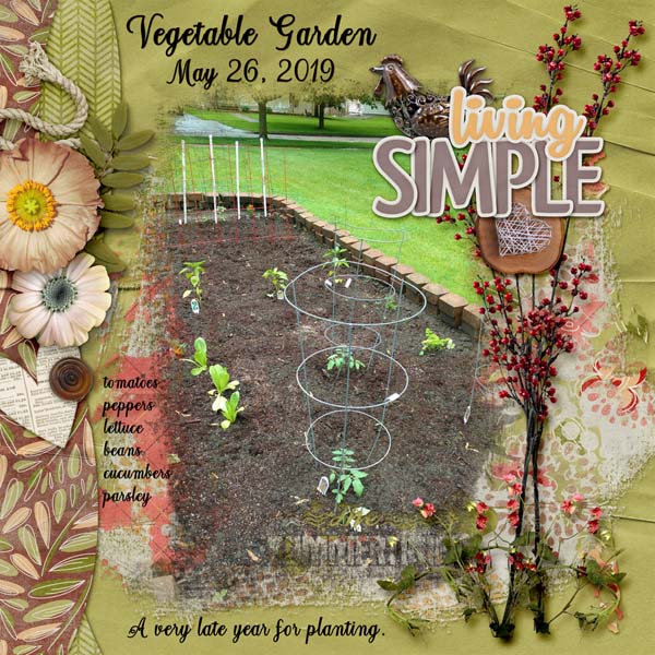 Vegetable garden