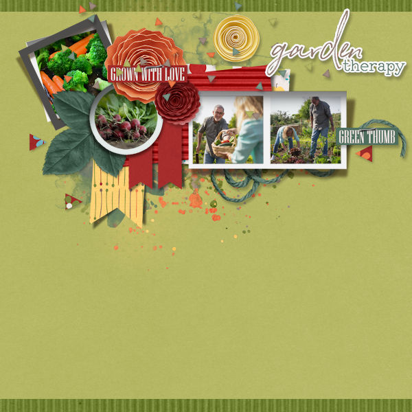 Vegetable Garden