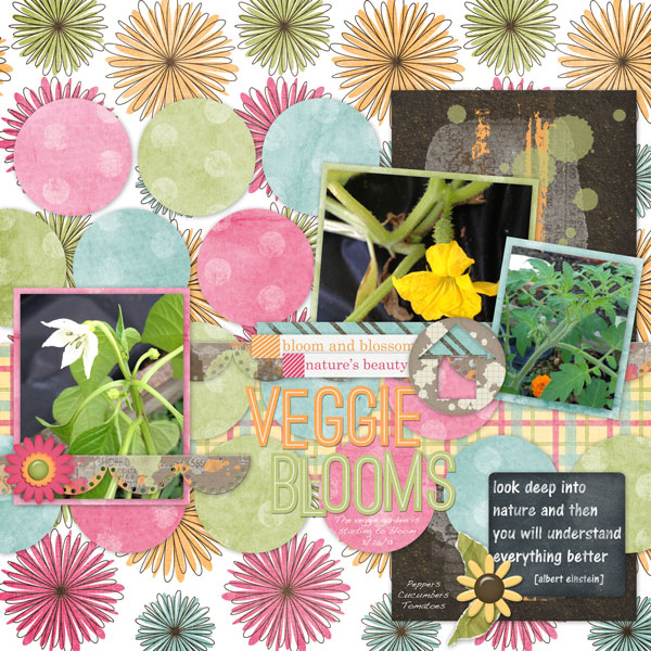Veggie Blooms