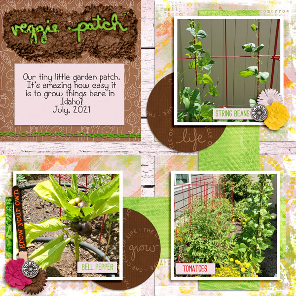 Veggie Patch