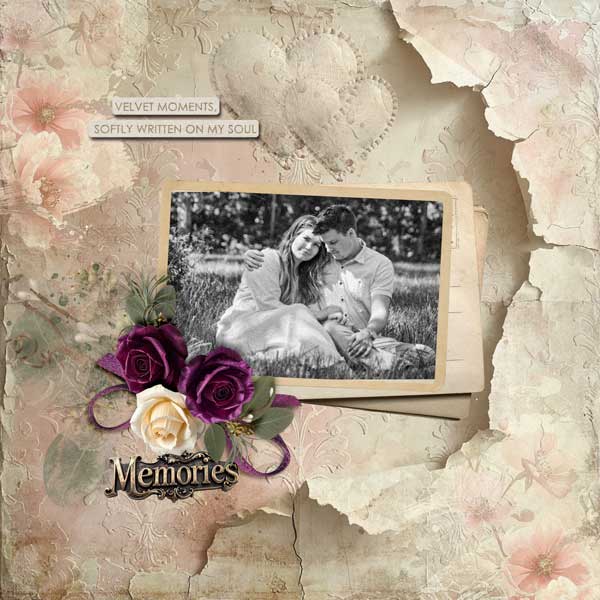 velvet-memories-palvinka.jpg