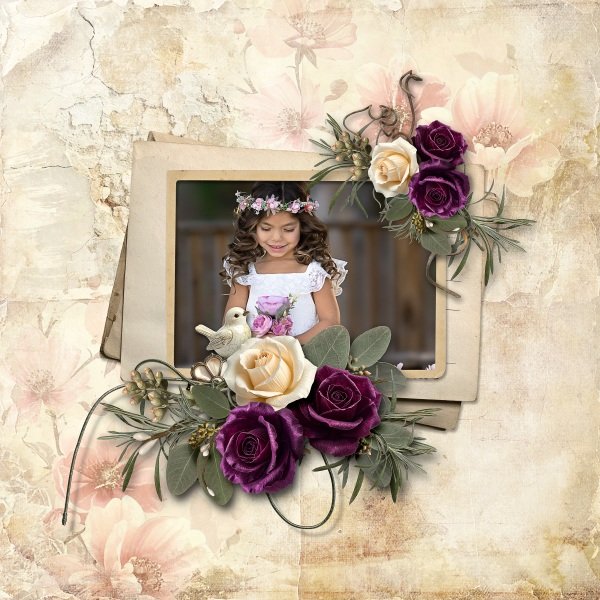 Velvet Memories