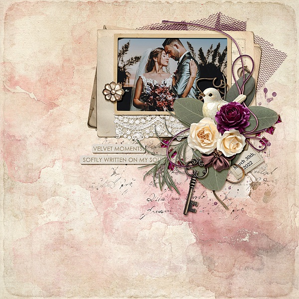 Velvet Memories