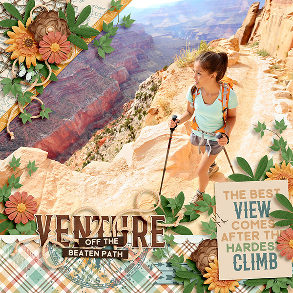 venture off the beaten track