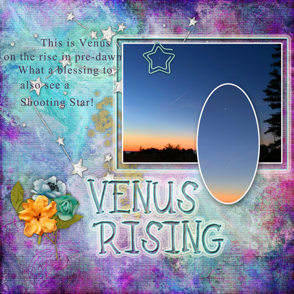 Venus Rising