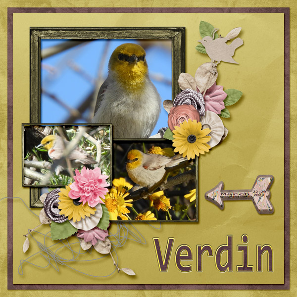 verdinsmall