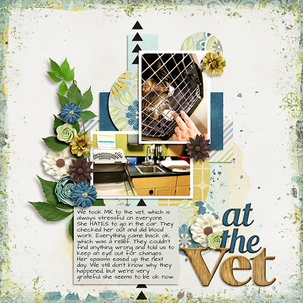Vet