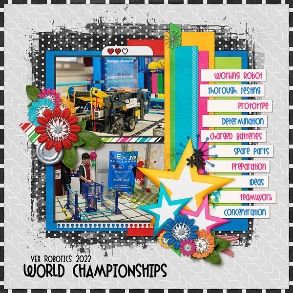 Vex Championships