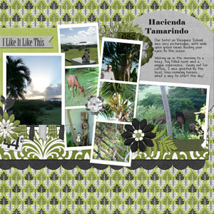Vieques Island