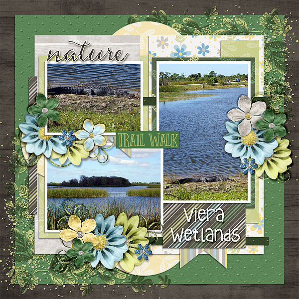 viera-wetlands