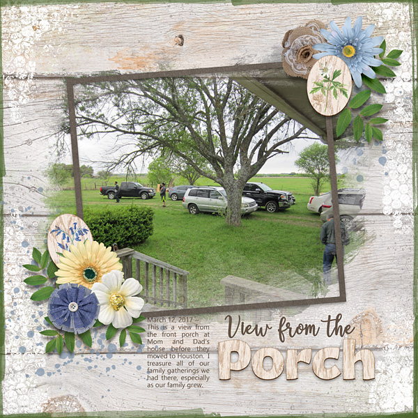 View from the Porch