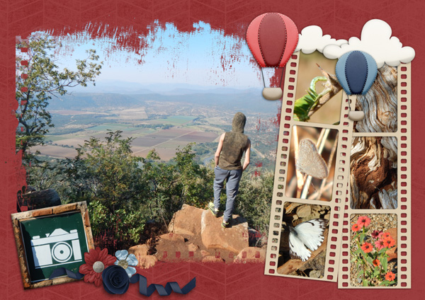 Viewpoint 1