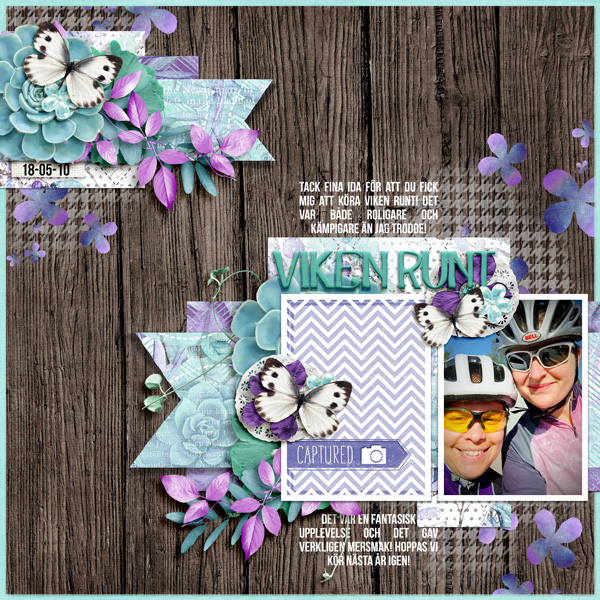 Viken Bike race