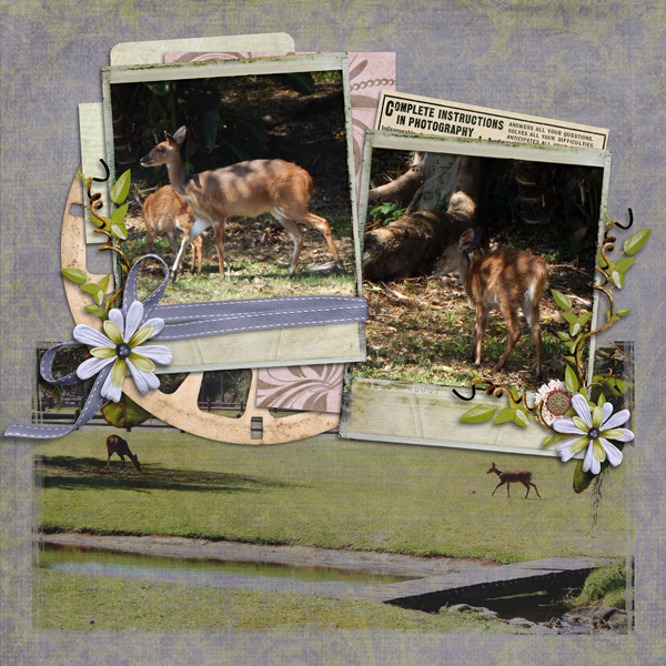 Villa visitors 2