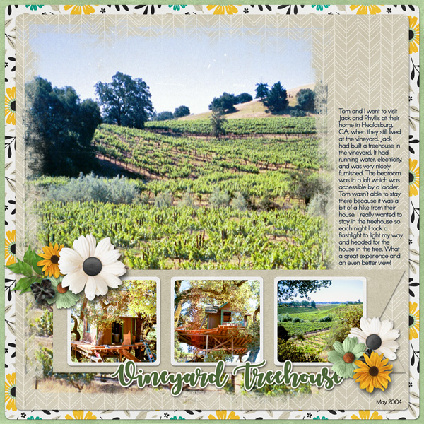 Vineyard Treehouse