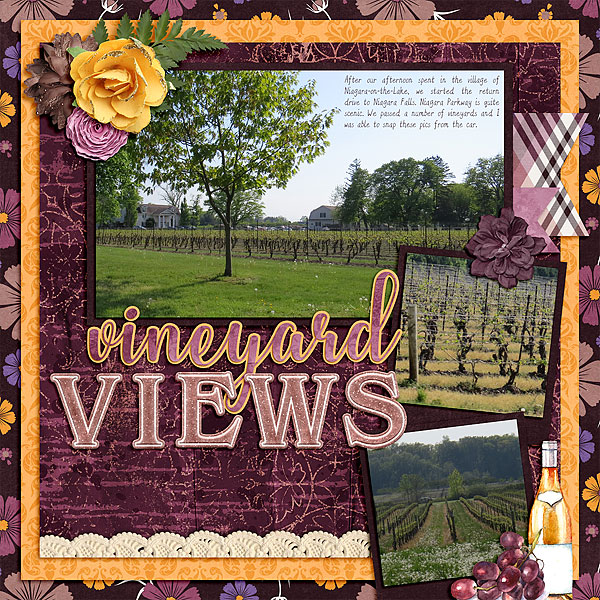 Vineyard Views
