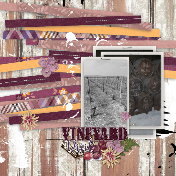 Vineyard visit