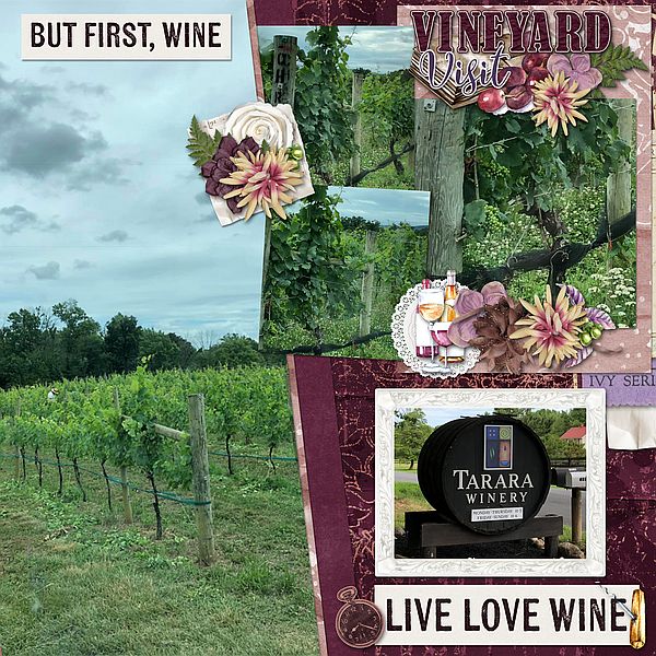 Vineyard Visit
