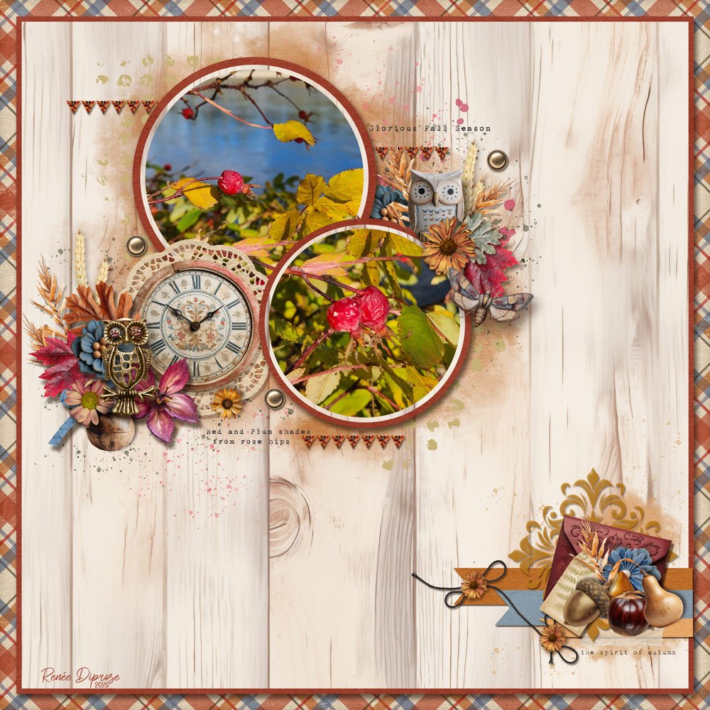 Vintage Autumn