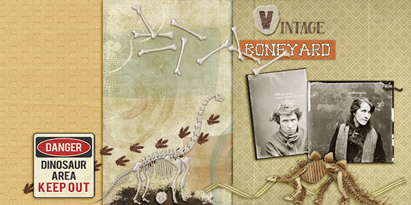 Vintage Boneyard