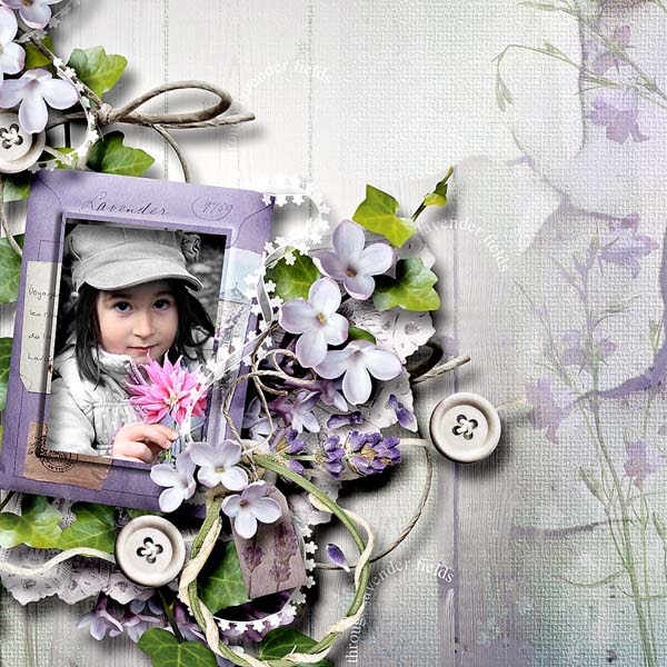 Vintage lavender